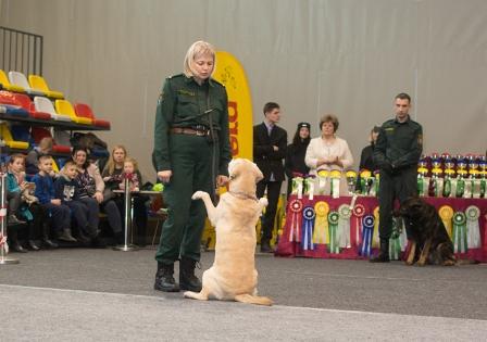 В Даугавпилсе проводятся международные выставки собак