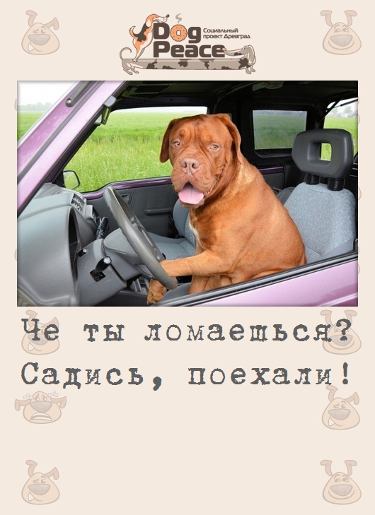 Садись езжай