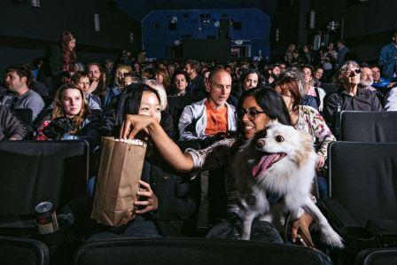 В Сан-Франциско прошла дог-френдли премьера фильма «Остров собак» Уэса Андерсона