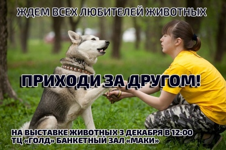 � ��������� ��������� �������� �������� ������ ����������+�